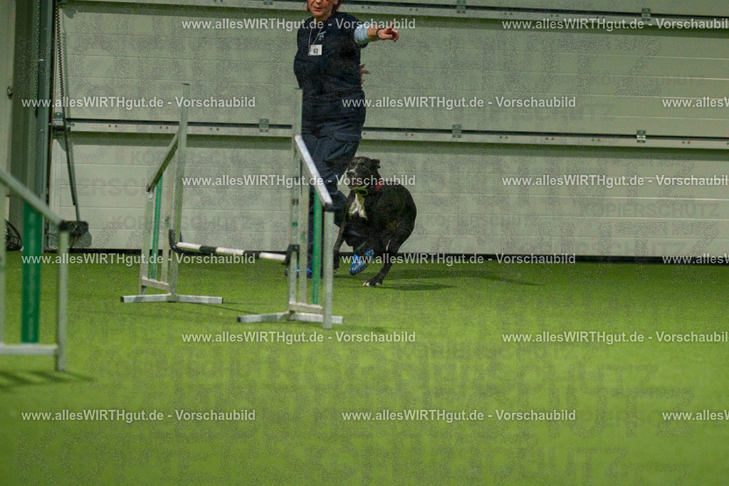 7R507391 | Professionelle Tierfotografie in Mönchengladbach von Daniel Wirth (allesWIRTHgut). Liebevolle & natürliche Bilder von Hunden & Katzen für unvergessliche Erinnerungen.