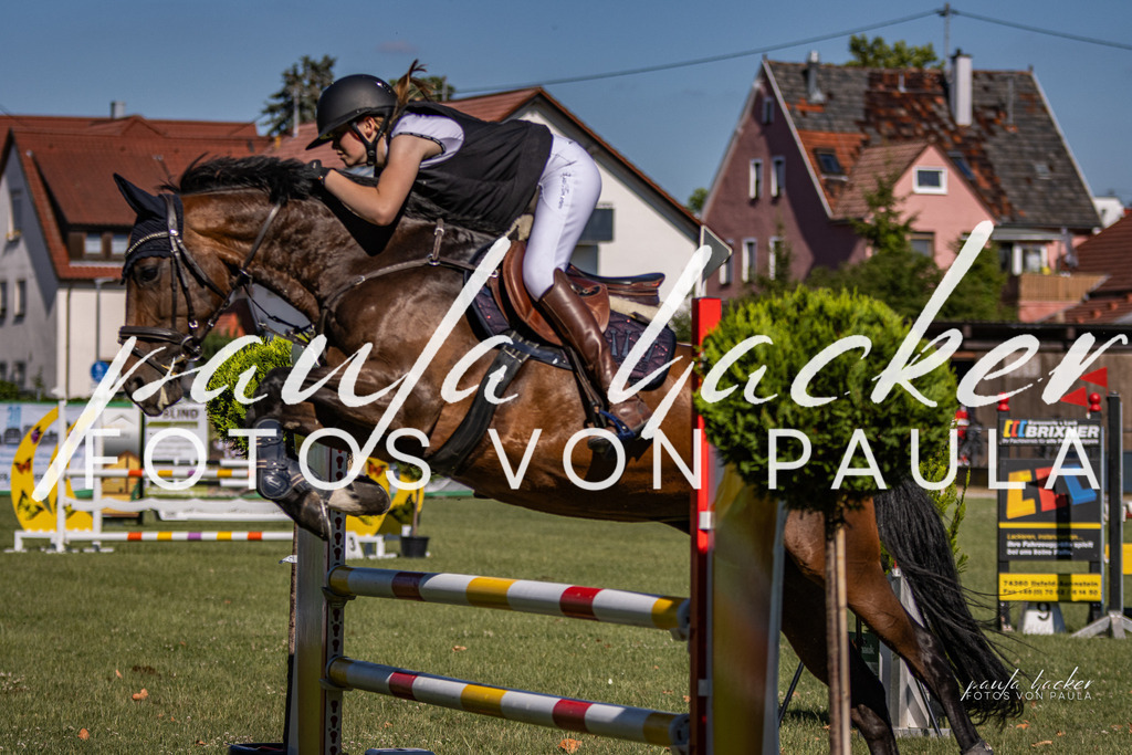 IMG_9815 | Erleben Sie dynamische Sport- und emotionale Tierfotografie in Süddeutschland mit Fotos von Paula. Spezialisiert auf Pferde- und Hundefotografie sowie Sportevents. Kontaktieren Sie mich für einzigartige und ausdrucksstarke Bilder Ihrer besonderen Momente. - Realisiert mit Pictrs.com