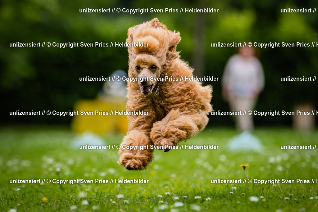 Sven Pries | 2025-05-29 - Pudelrennen KA-Durlach - Realisiert mit Pictrs.com