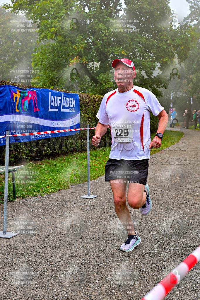 Z8N_1383 | la-psv - Realisiert mit Pictrs.com