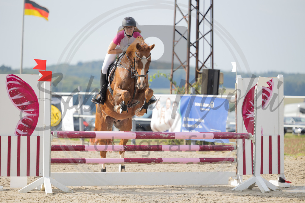 994A2014 | sabrinanicolaifotografie - Realisiert mit Pictrs.com