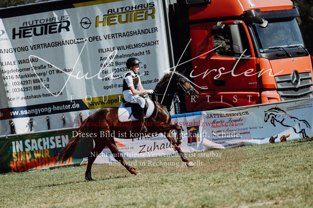 DSC_6897 | Pferde- und Turnierfotografie in Westsachsen. Pferdeportraits, Auftragszeichnungen und intuitive Kunst.