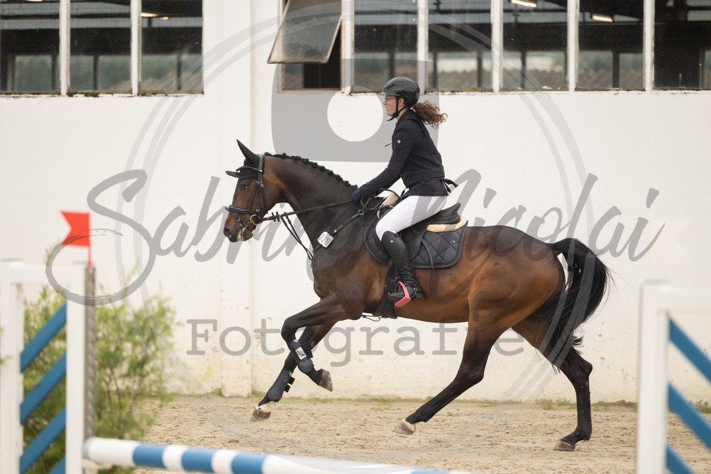 994A9237 | sabrinanicolaifotografie - Realisiert mit Pictrs.com