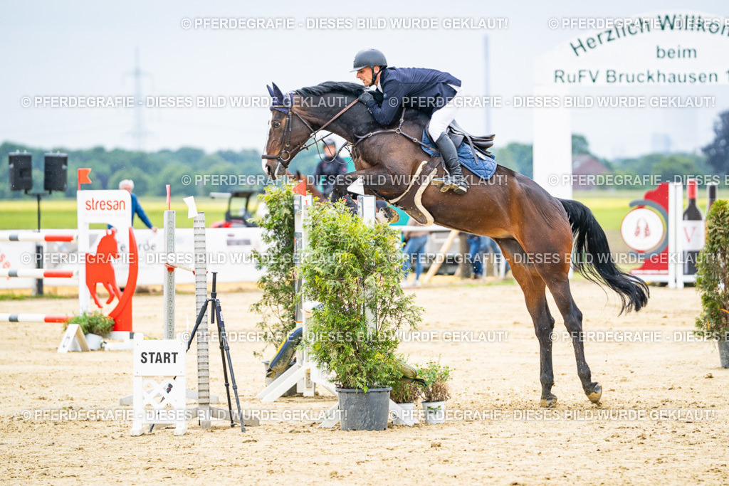 DSC06856 | Pferdegrafie