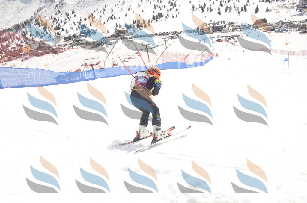 _ELE9138 | holidayphoto