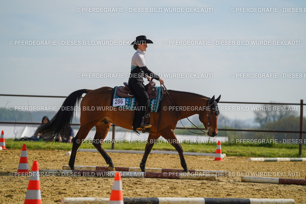 DSC01255 | Pferdegrafie