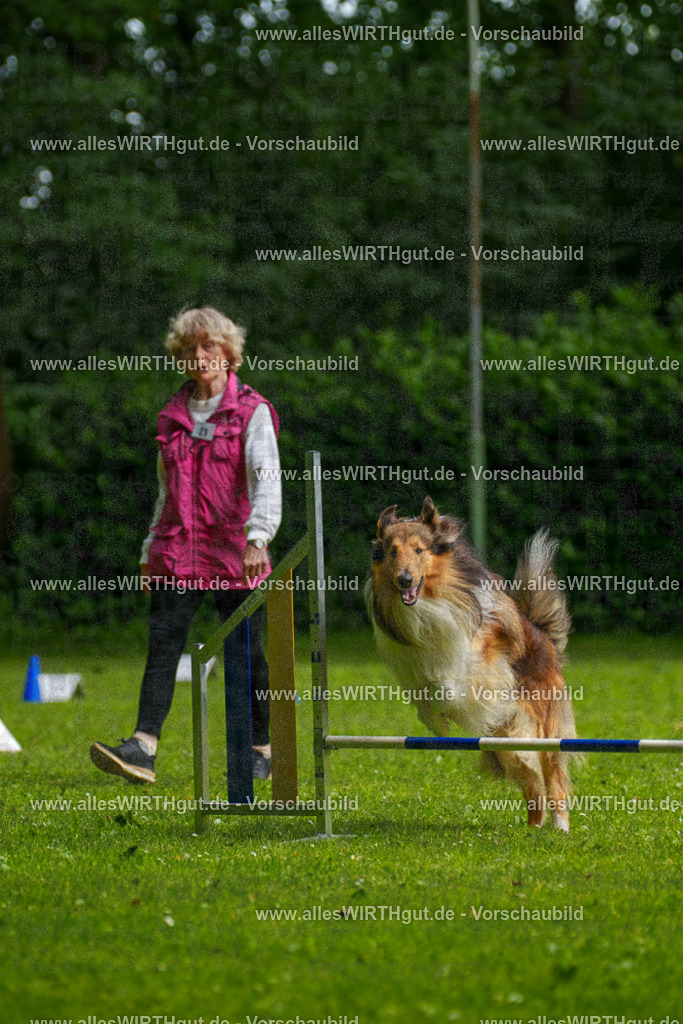 @allesWIRTHgut_Tierfotografie - www.allesWIRTHgut.de - 094953-7R507673 | Professionelle Tierfotografie in Mönchengladbach von Daniel Wirth (allesWIRTHgut). Liebevolle & natürliche Bilder von Hunden & Katzen für unvergessliche Erinnerungen.
