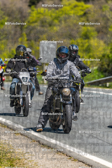MSFotoServiceXXX341 | MSFotoService - Realisiert mit Pictrs.com