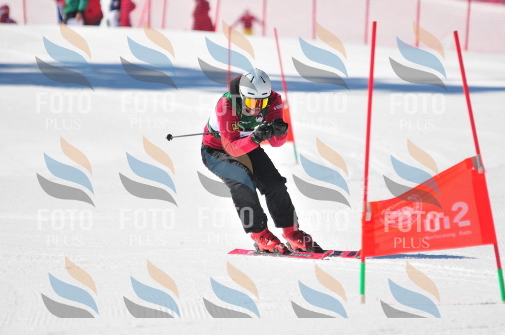 C3369 | holidayphoto