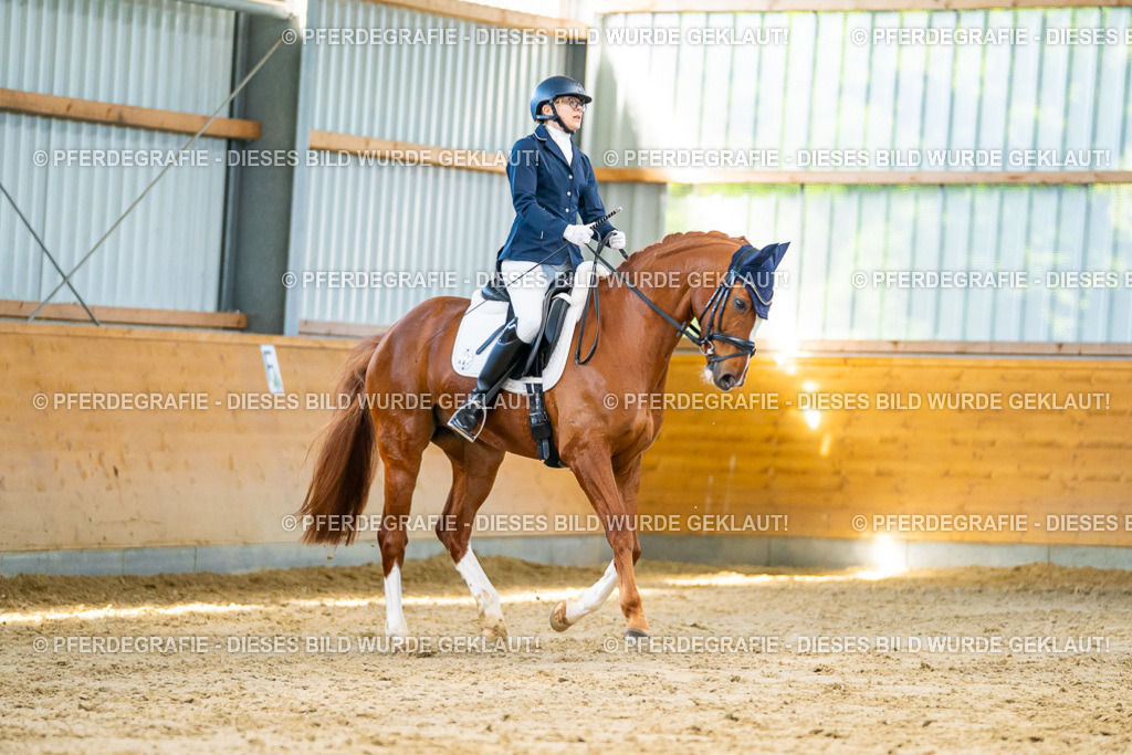 DSC06544 | Pferdegrafie