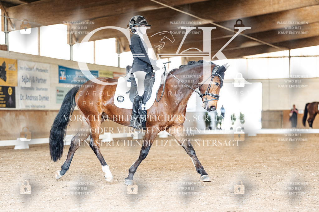 CK901489 | Turnierfotografie Pferdefotografie Trier Rheinland-Pfalz Pferdesport Reitsport Tierfotografie Sportfotografie Pferdevideo Pferdevideografie Equestrianvideography equestrianphotography  - Realisiert mit Pictrs.com