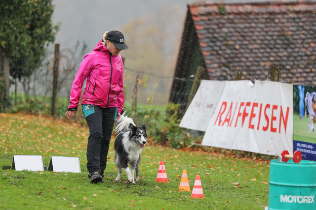 2025_Rally_Obedience_SM-132 | Ich fotografiere Hundeausstellungen, Sportanlässe, Zuchtstätten, Hundezucht, Hundeportrait, Lagotto - Realisiert mit Pictrs.com