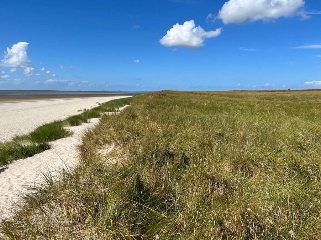 56BCA089-E800-4D56-A65D-561DF2F1028A | Franz Podek