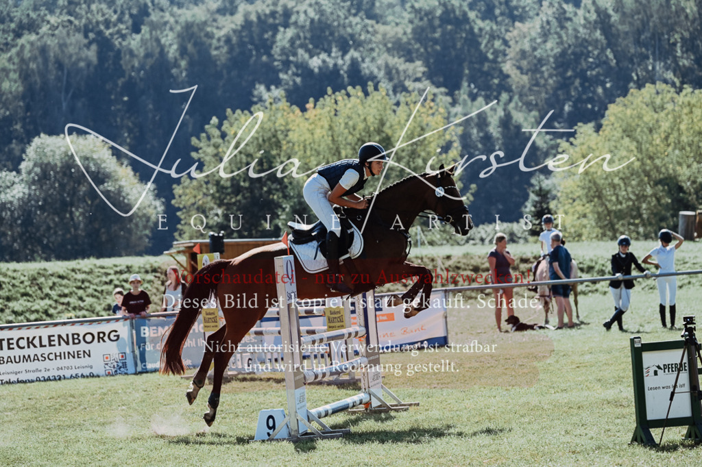 DSC_5442 | Pferde- und Turnierfotografie in Westsachsen. Pferdeportraits, Auftragszeichnungen und intuitive Kunst.