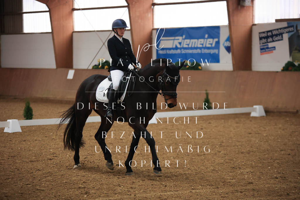 IMGT6781 | pl-fotografie