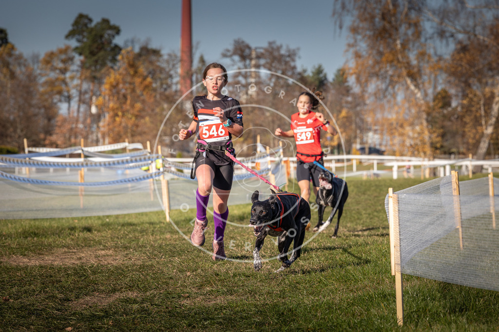 CaniXpix_0L8A7607 | Hundefotografie, Tierfotograf, Pfotenfotografie, Fotoshooting Hund, Hunde Portrait, Hundesport, Hundeportraits, Heideshooting, Hunde, Sportfotograf, Hundefotograf, Turnierhundsport, THS,  - Realisiert mit Pictrs.com