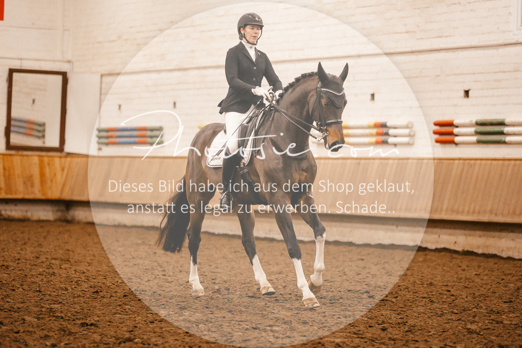 3I6A3240 | Stimmungsvolle Portraits und Reitsportfotografie im Ruhrgebiet und im Münsterland.

Pferdefotografie, Hundefotografie, Tierfotografie, Reportagen, Portraits von Tier und Mensch, Turnierfotografie in Bochum, Recklinghausen, Marl, Haltern am See, Dülmen.. - Realisiert mit Pictrs.com