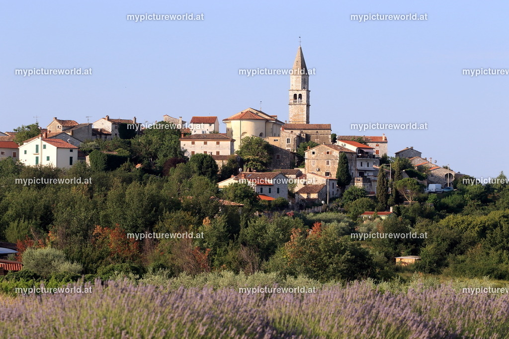 Visnjan-009 | Das Bilderarchiv über Tiere, Planzen und Landschaften. In der Bilddatenbank finden Sie ein große Auswahl an hochwertigen Bilder für Ihre Werbung - Realized with Pictrs.com