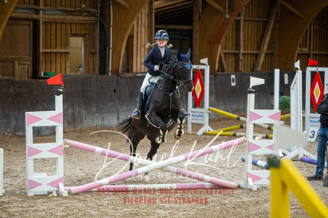 IMG_1819 | Turniersportfotografie; Pferdefotografie; Dressurfotografie