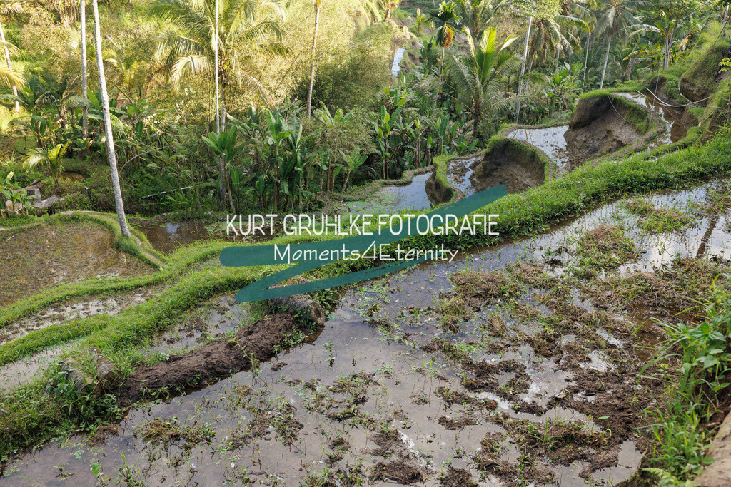 230720-1379 | onlinegalerie und Fotoshop Kurt Gruhlke Fotograf Berlin
Hochzeitsfotograf Eventfotograf Portraitfotografie
 - Realisiert mit Pictrs.com