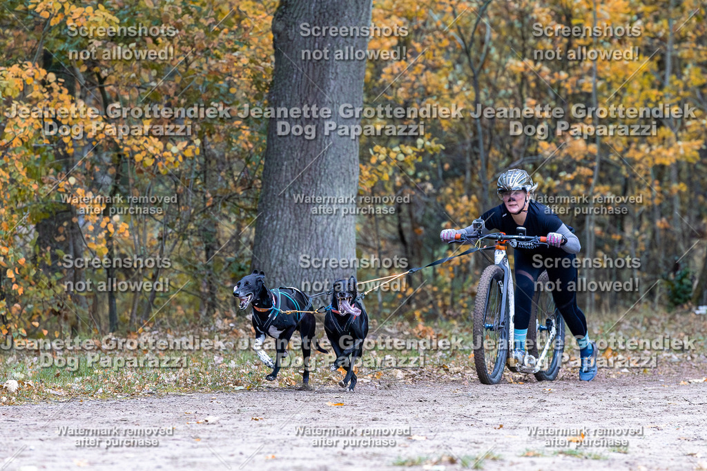 Dog Paparazzi - SD CaniX Championship 2025-157 | Dog Paparazzi Jeanette Grottendiek Fotografie & Videografie - Realisiert mit Pictrs.com