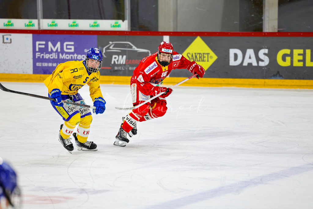 EHCB vs HCD-0590 | Sportbilder, Sportfotograf, Hochzeits- und Eventfotografin, Flugshows, Portraits und Tiershooting, Aviation, Downhill, Nationalleague, Swissleague, International