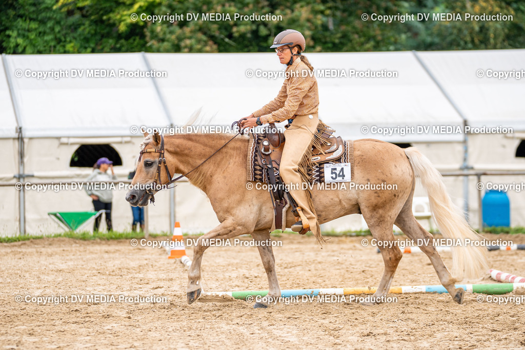 LM Heiligenwald Tag 3-938 | dv-media-shop - Realisiert mit Pictrs.com