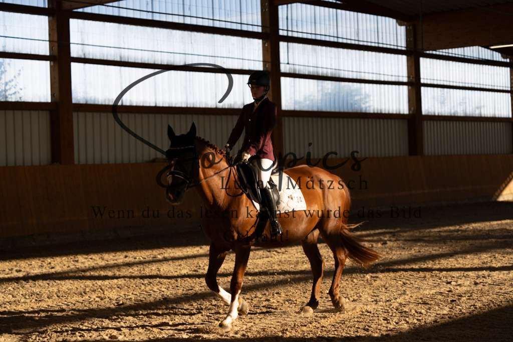 A7V01633 | Turnier/Reitfotograf