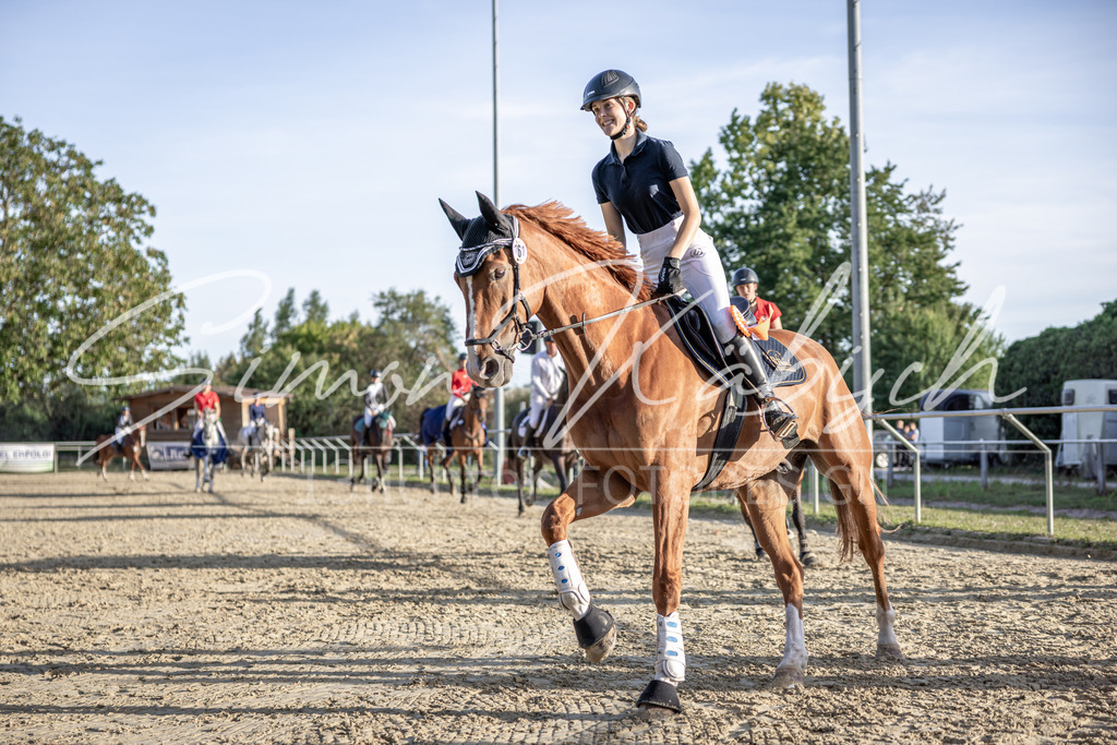 20250907-_3LI4953 | Tierfotografie Pferde, Hunde, Katzen, Haustiere.
Turnierfotografie Reitturniere, Reiten, Springreiten, Dressur in Hanau, dem Main-Kinzig-Kreis und dem Rhein-Main- Gebiet um Frankfurt