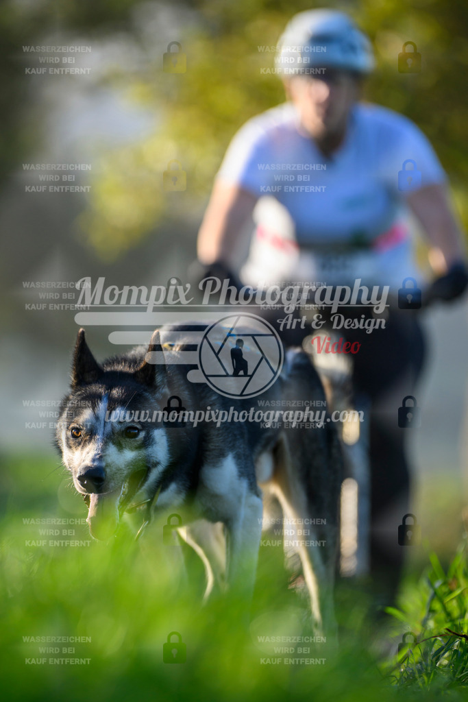 MompixPhotography_20TSB_E3_Bike-230 | PayLife