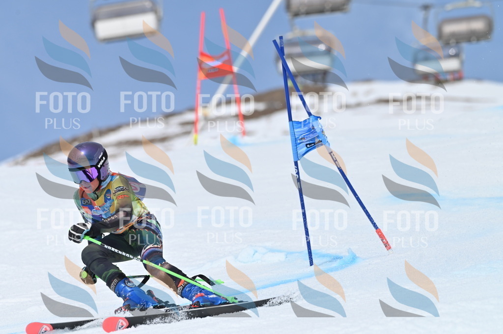 BGV_2538 | holidayphoto