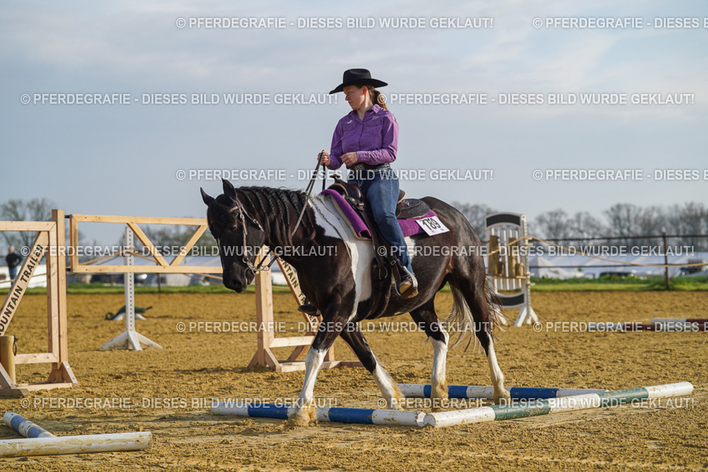 DSC00296 | Pferdegrafie