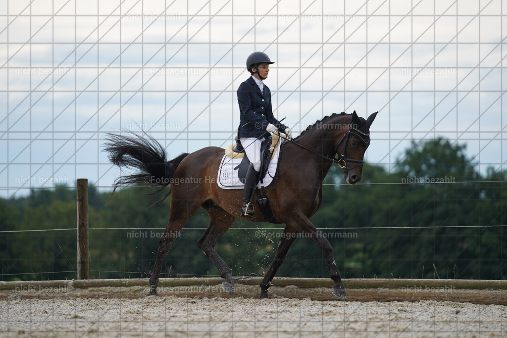 20230826-FAH04370 | Forstinning, 2023, Dressurturnier, Turniersportbilder, Turnierfotografen Bayern, Fotoagentur Herrmann, Reitsportfotografie, Turnierbilder