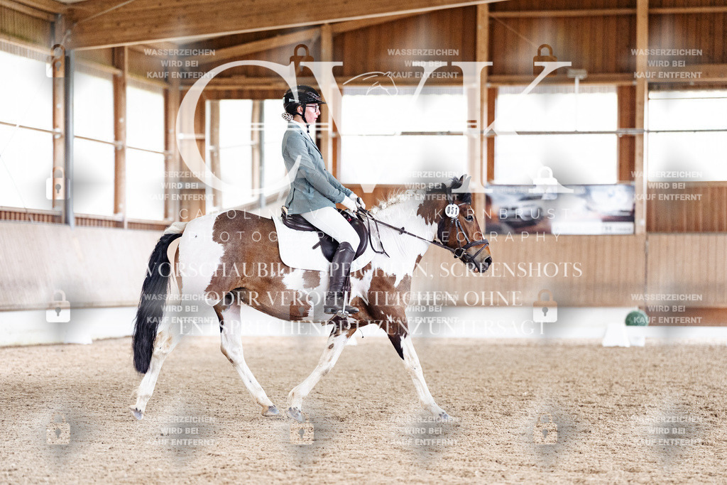 CK901043 | Turnierfotografie Pferdefotografie Trier Rheinland-Pfalz Pferdesport Reitsport Tierfotografie Sportfotografie Pferdevideo Pferdevideografie Equestrianvideography equestrianphotography  - Realisiert mit Pictrs.com