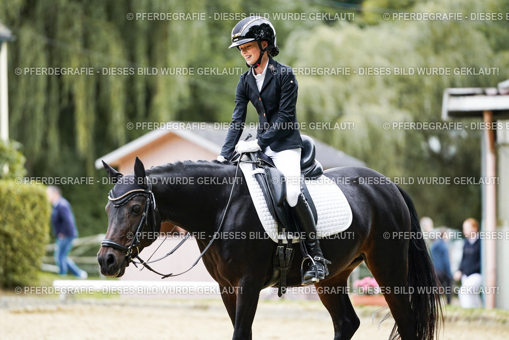 DSC09600 | Pferdegrafie