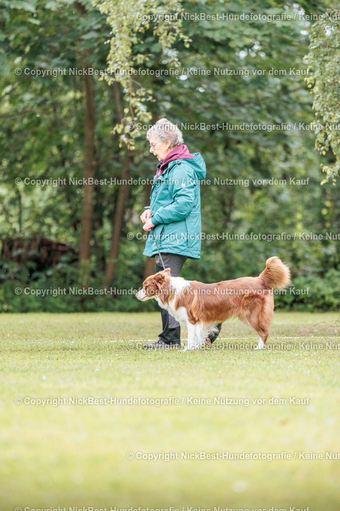 RO-Blumenthal-2026-Nickbest-Hundefotografie-5552 | Dein Hund! Dein Moment! Deine Erinnerungen! Hundefotografie in Bremen Blumenthal. Ich fange die besonderen Momente deines Vierbeiners ein – ob Indoor mit Blitzanlage oder in der freien Natur. Sicher dir dein Moment und dein Termin für eure Erinnerungen.
