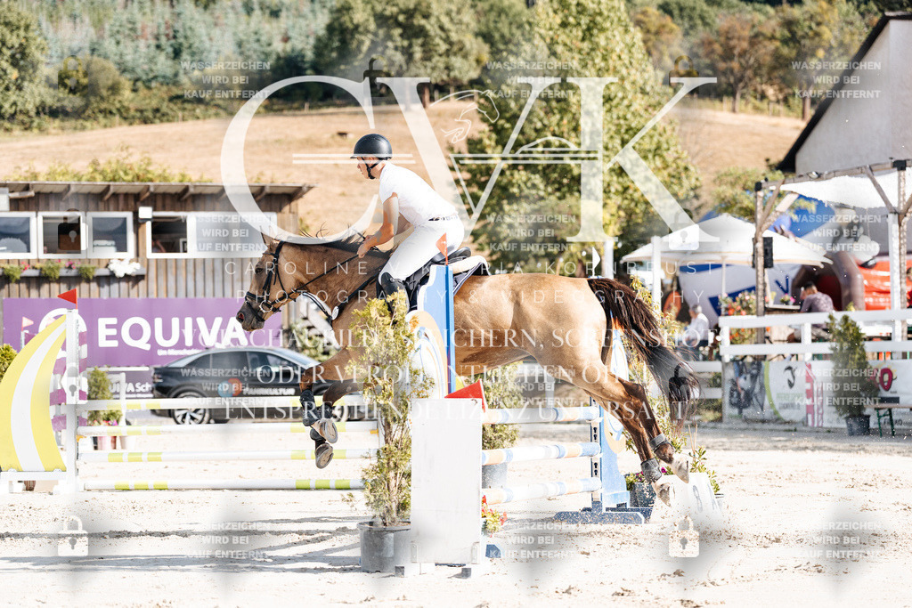 CK909174 | Turnierfotografie Pferdefotografie Trier Rheinland-Pfalz Pferdesport Reitsport Tierfotografie Sportfotografie Pferdevideo Pferdevideografie Equestrianvideography equestrianphotography  - Realisiert mit Pictrs.com