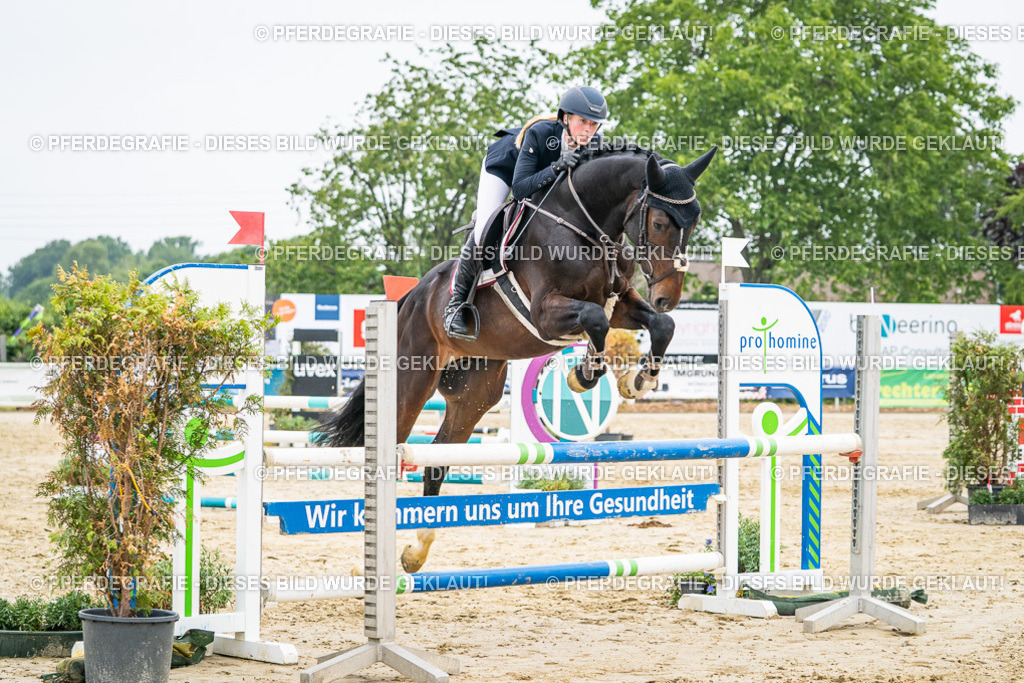 DSC00162 | Pferdegrafie