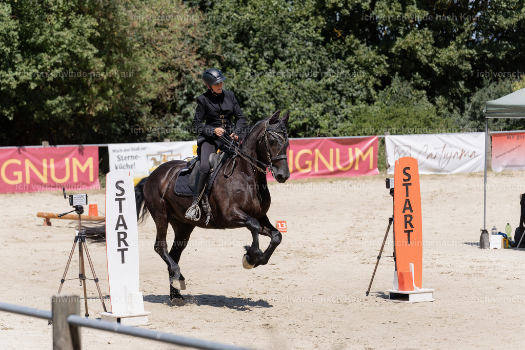 WM_SP_132_SinaFilmArt_IN06906 | working equitationturnier fotograf videograf stoibphotography marixx film working equitation deutschland reitsport turnierfotografie eventfotografie equestrian events