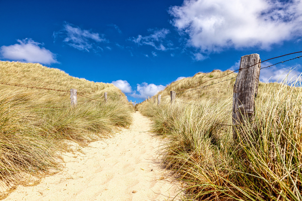 Typisch sandiger Weg---Dünenlandschaft-Nordseeinsel Sylt I | Dieses Bild zeigt einen typischen sandigen Pfad durch die Dünenlandschaft der Nordseeinsel Sylt.Es ist eine beliebte Urlaubsregion, die für ihre Strände, Dünen und den Nord-Ostsee-Wanderweg bekannt ist. - Realisiert mit Pictrs.com