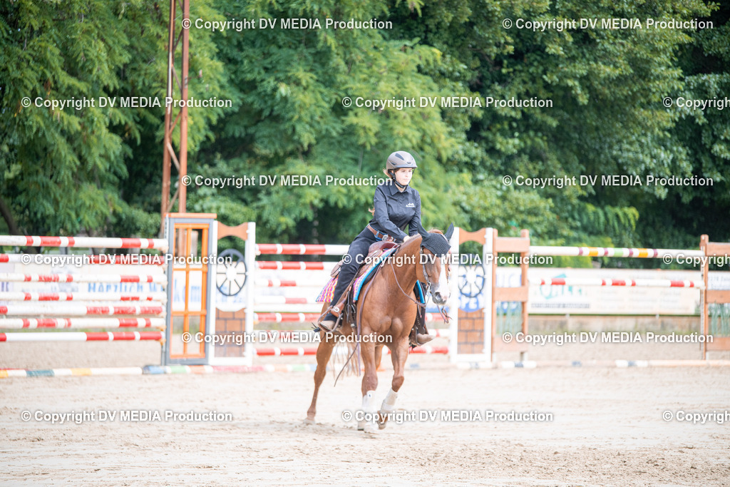 ZS3_5099 | dv-media-shop - Realisiert mit Pictrs.com