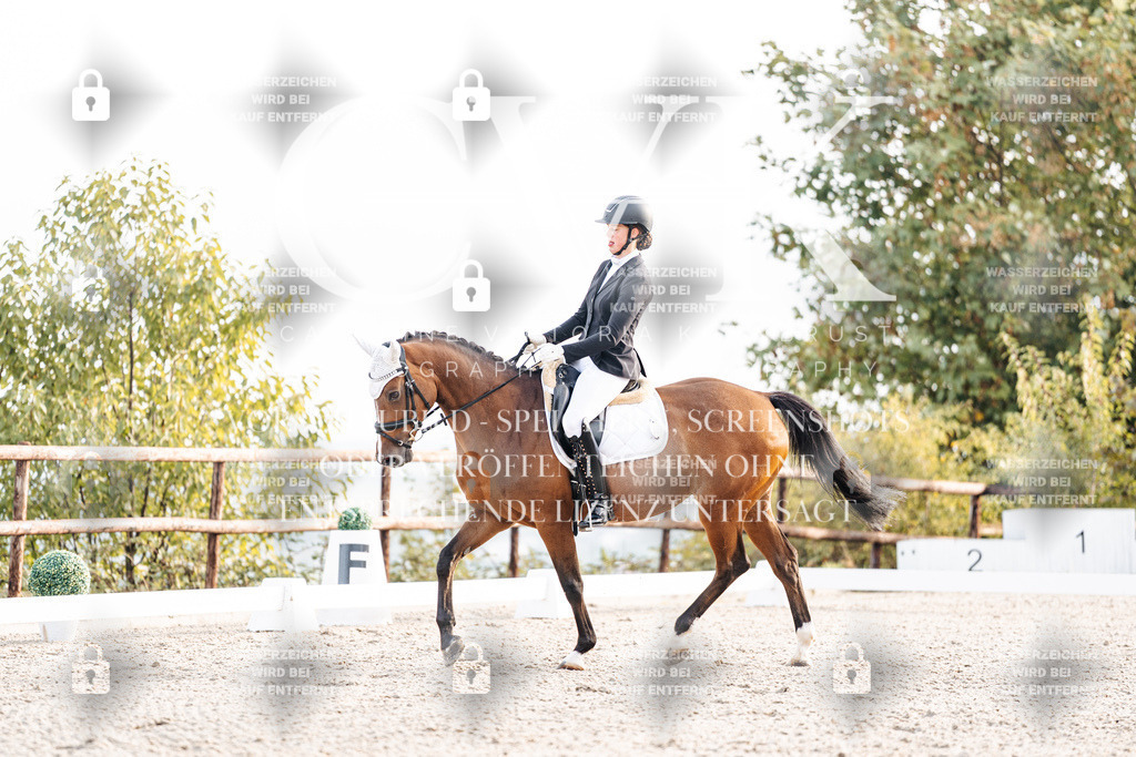 CK900442 | Turnierfotografie Pferdefotografie Trier Rheinland-Pfalz Pferdesport Reitsport Tierfotografie Sportfotografie Pferdevideo Pferdevideografie Equestrianvideography equestrianphotography  - Realisiert mit Pictrs.com