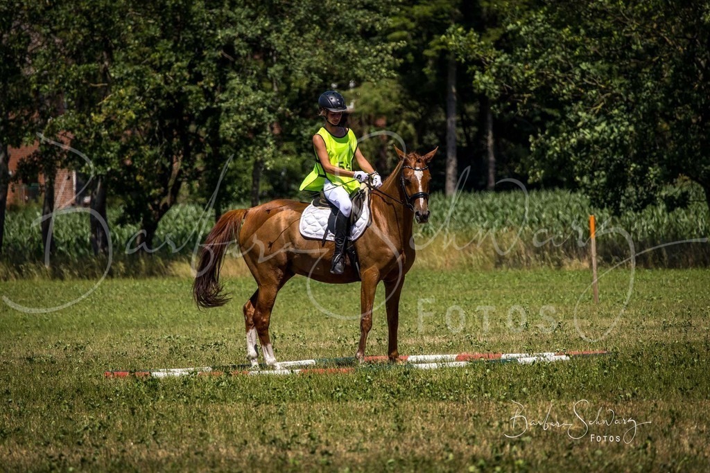 CJP_2026-06-26_50 | Stimmungsvolle Fotografie von Pferden, fotografische Begleitung von Veranstaltungen, Golfturnieren und Distanzritten - Realisiert mit Pictrs.com