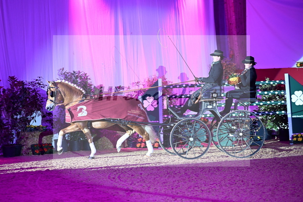DSP_Avici_As_Karosser_2254571 | hf-fotografie - Realisiert mit Pictrs.com