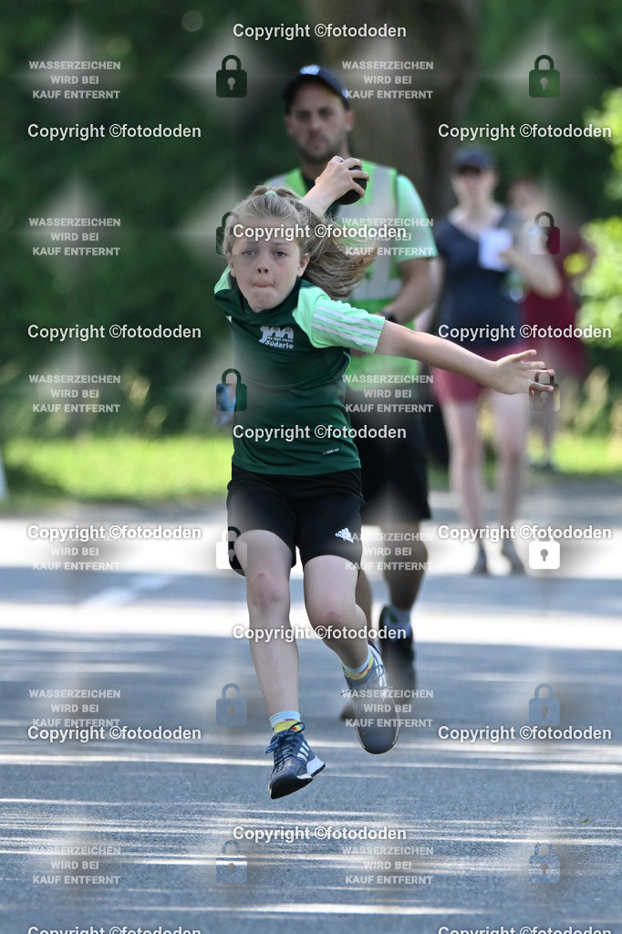 DSC_0715 | Efie Meyerhoff / Südarle/ wJu E Holz