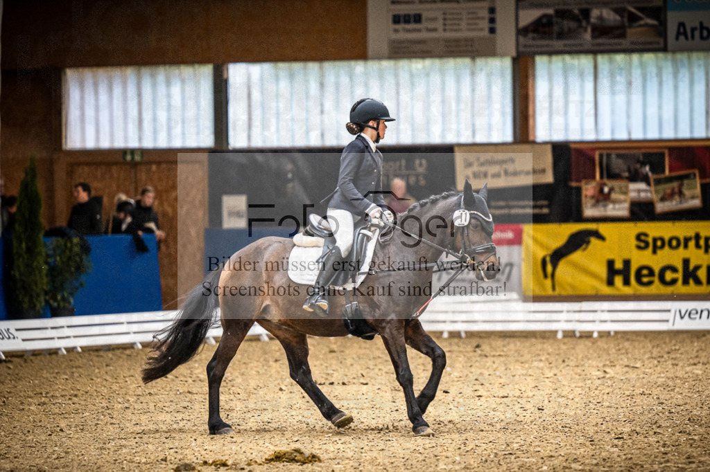 DOS_0157 | Entdecke hochwertige Reitturnierfotos von Foto Oger. Professionell, emotional und authentisch – jetzt Lieblingsmomente im Shop bestellen.Deutschlandweite Turnierfotografie. - Realisiert mit Pictrs.com