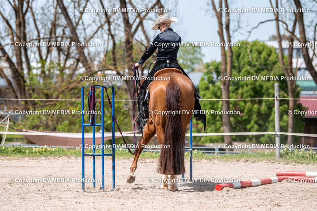 Balingen Tag 4-678 | dv-media-shop - Realisiert mit Pictrs.com