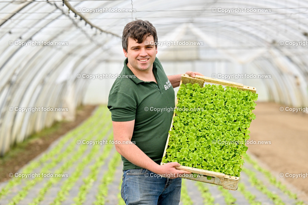 Biohof Berner_ Pupping_ 28.02.2023-19 | 28.02.2023, Pupping, AUT, Biohof Berner, im Bild André Berner (Biobauer) mit Lollobionda (Salat)