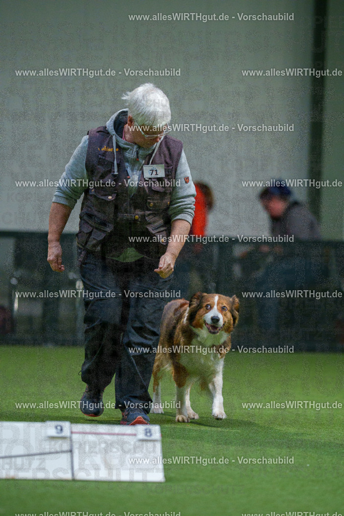 7R504071 | Professionelle Tierfotografie in Mönchengladbach von Daniel Wirth (allesWIRTHgut). Liebevolle & natürliche Bilder von Hunden & Katzen für unvergessliche Erinnerungen.