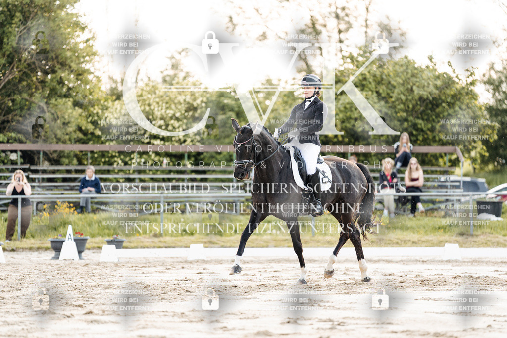 CK909400 | Turnierfotografie Pferdefotografie Trier Rheinland-Pfalz Pferdesport Reitsport Tierfotografie Sportfotografie Pferdevideo Pferdevideografie Equestrianvideography equestrianphotography  - Realisiert mit Pictrs.com